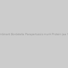 Image of Recombinant Bordetella Parapertussis murA Protein (aa 1-422)